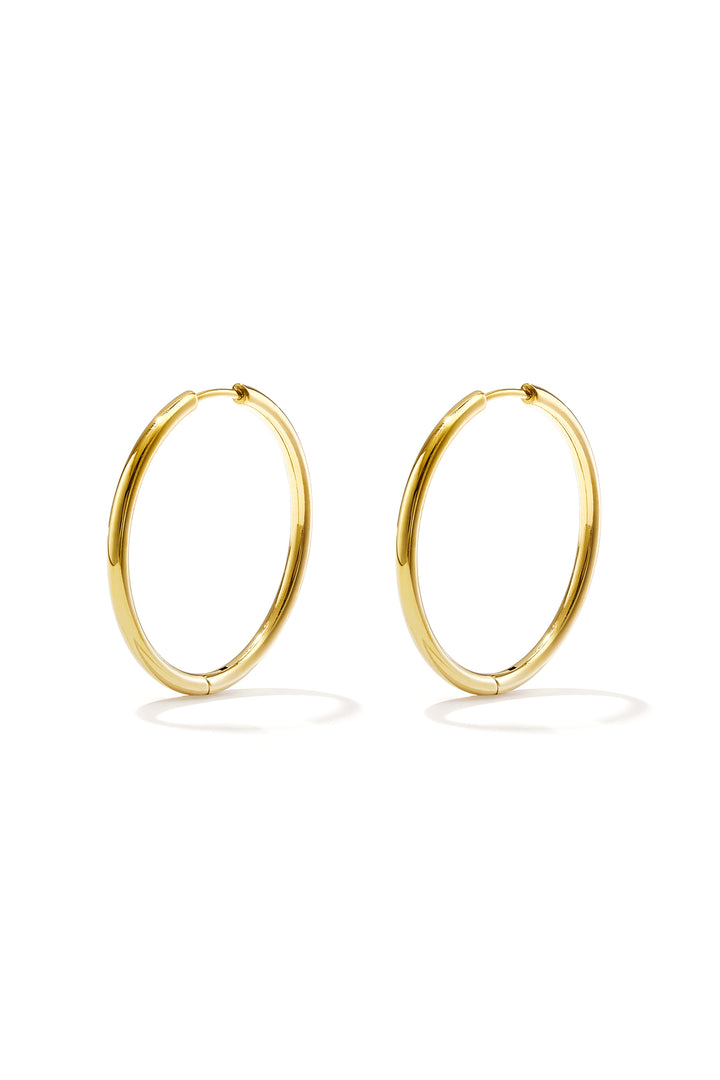 RVS oorbellen hoops klein Goud kleur Stainless Steel