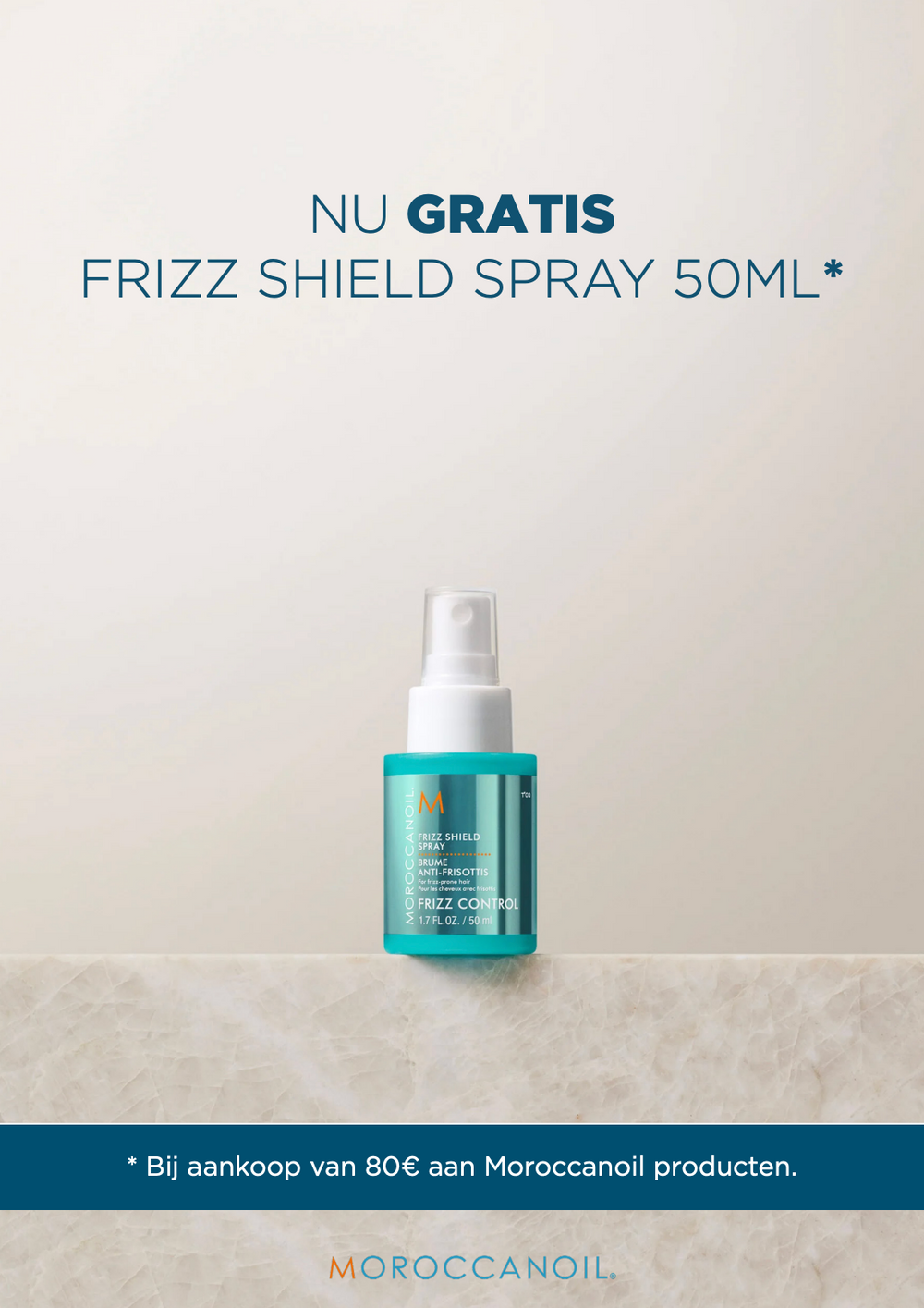 Frizz_Shield_Flyer