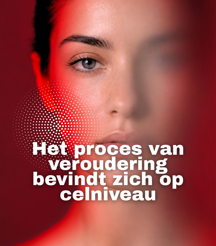 Insentials Longevity A.C.E. – Healthy Ageing &amp; Cellulaire Bescherming