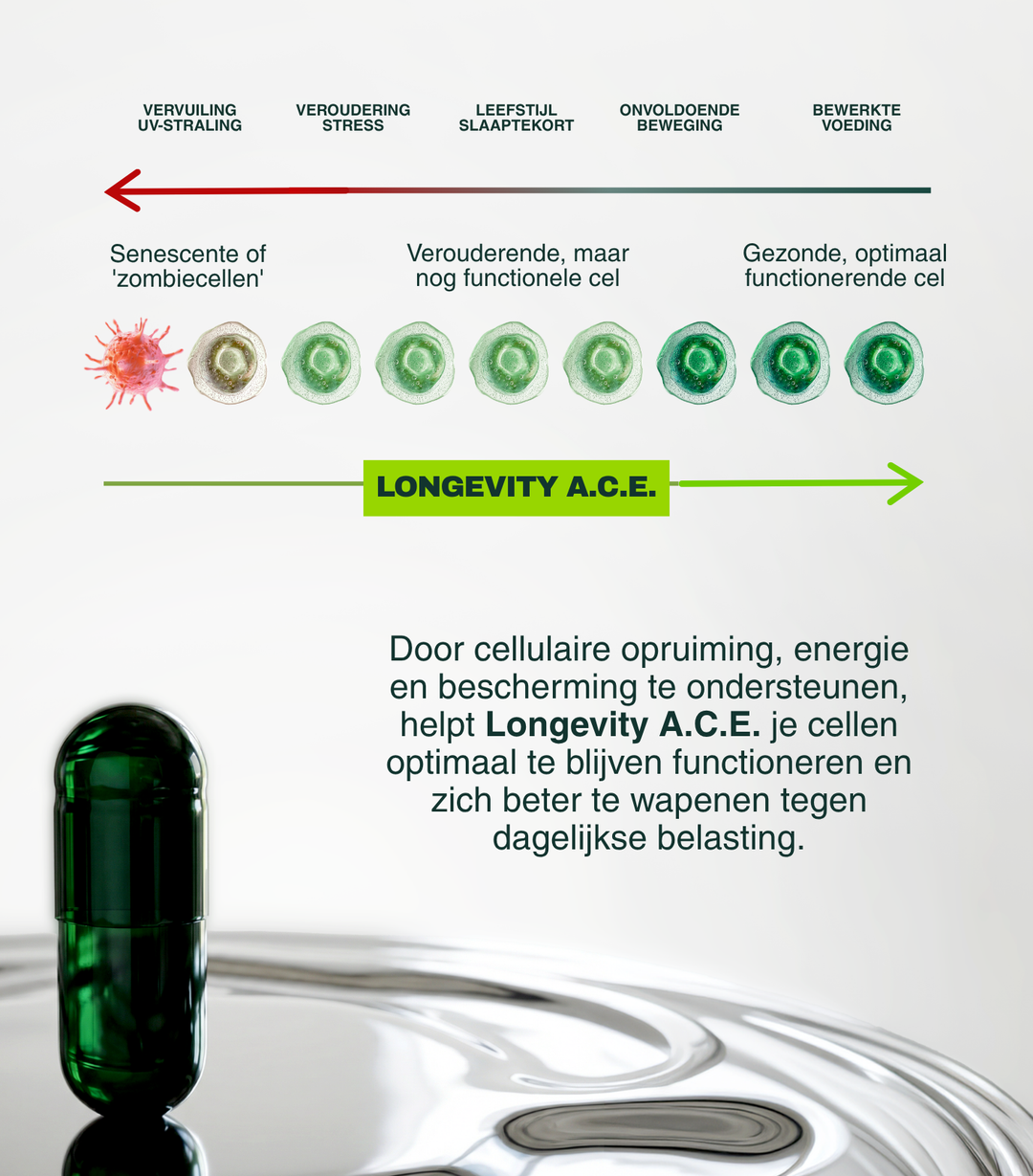 Insentials Longevity A.C.E. – Healthy Ageing &amp; Cellulaire Bescherming