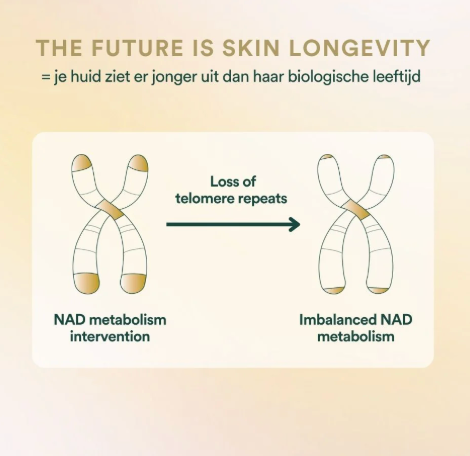 Insentials Inner Beauty H5-NADH – Skin Longevity & Hydratatie van Binnenuit