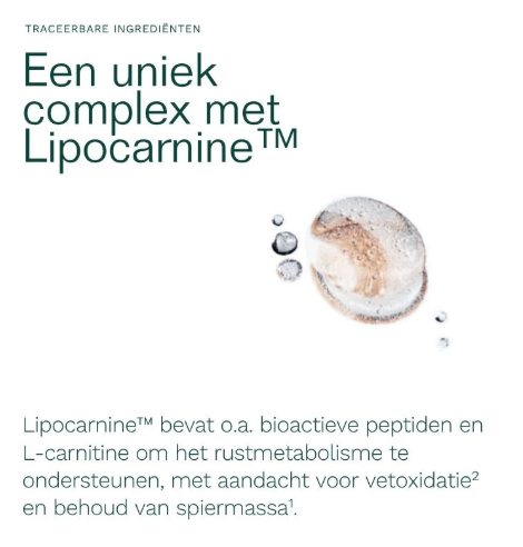 Insentials Metabolic GLH-2 REE Pack – Premium Metabolisme & Vetverbranding