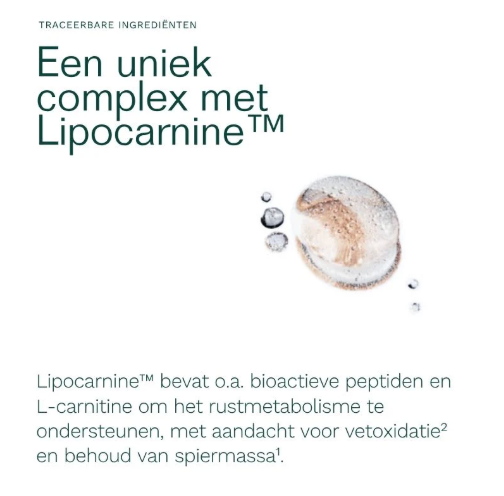 Insentials Metabolic Burn REE Shot – Rustmetabolisme & Vetverbranding