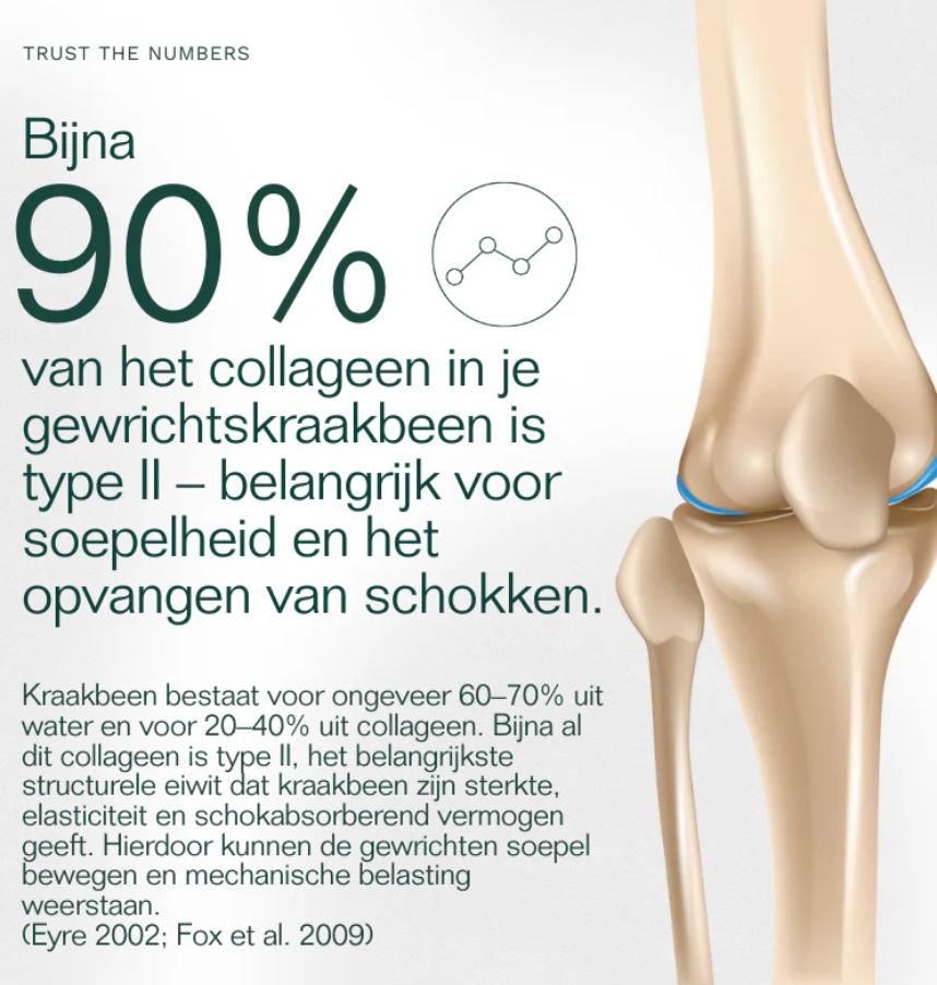 Insentials J Magneflex II – Magnesium voor Spieren & Ontspanning