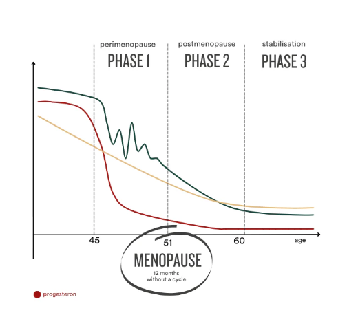 Insentials Meno Move – Comfort & Beweging tijdens (Peri)menopauze