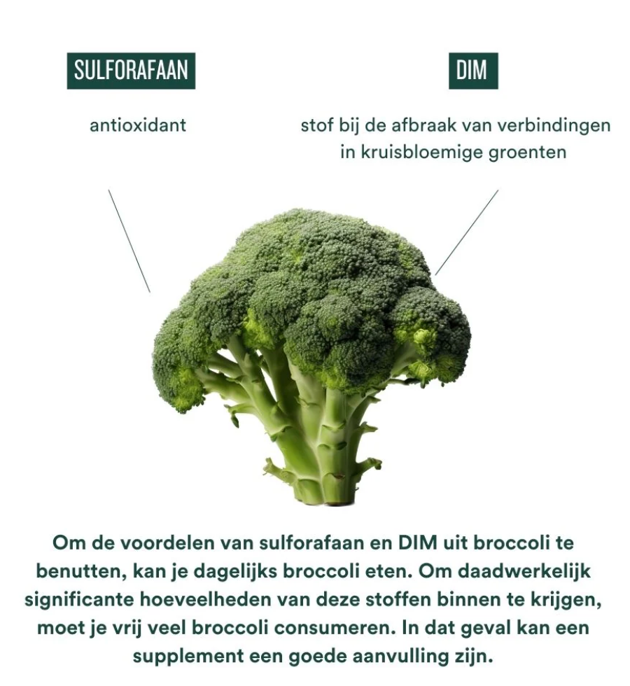 Insentials Meno Move – Comfort & Beweging tijdens (Peri)menopauze