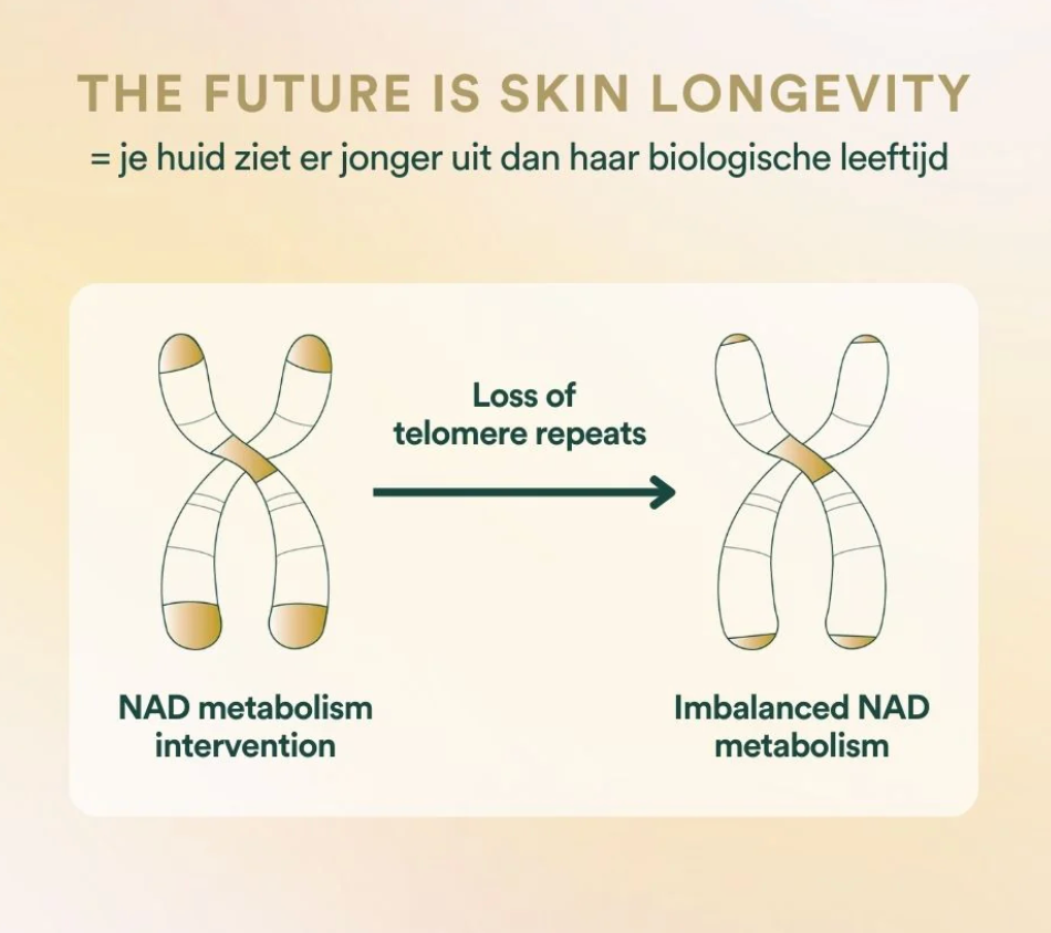 Insentials Smart Inner Beauty Pack – Skin Hydration & Glow Boost