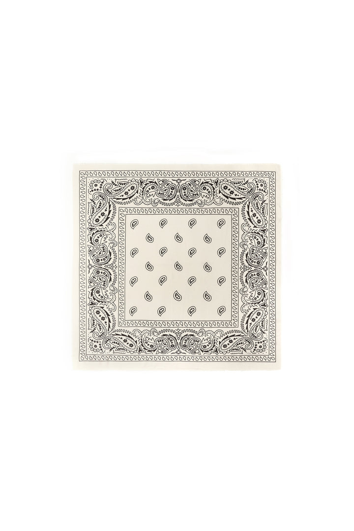 Wintersjaals met paisley-patroon, klassiek polyester, dagelijkse accessoires