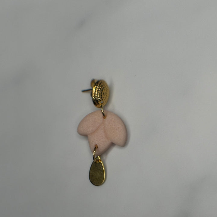 Daisy Drop - Blossoms Beauty