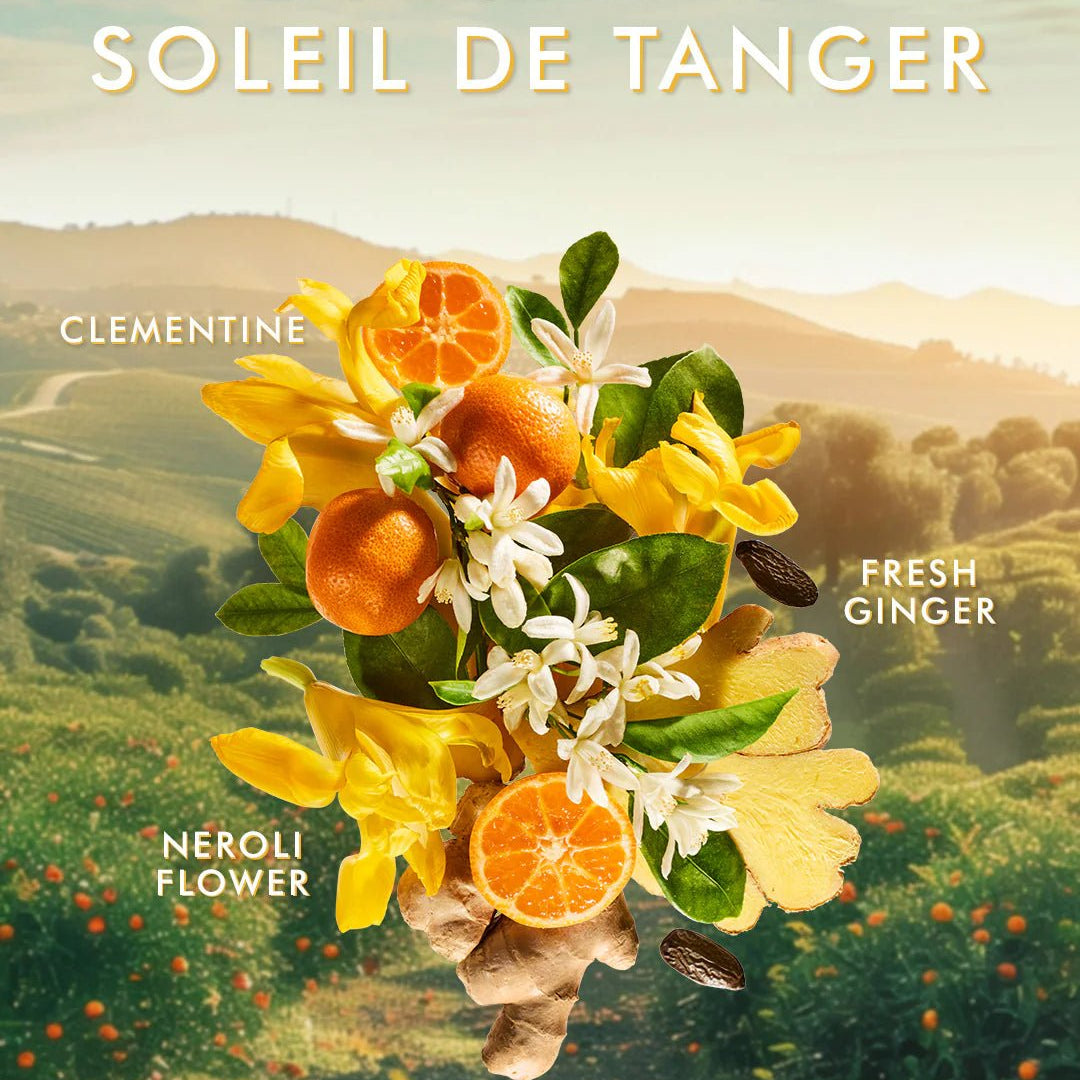 Moroccanoil Hand Cream 100ml – Luxe verzorging in 5 geuren - Blossoms Beauty