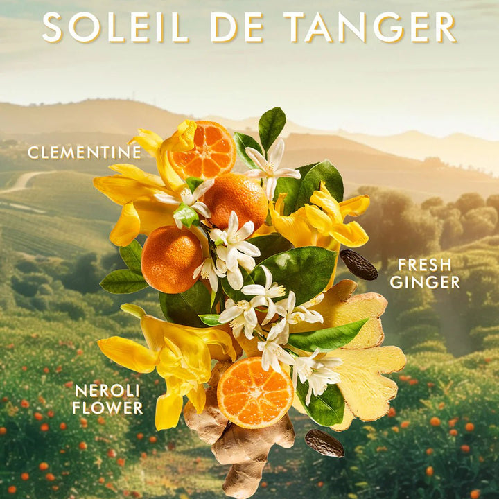 Moroccanoil Hand Cream 100ml – Luxe verzorging in 5 geuren - Blossoms Beauty