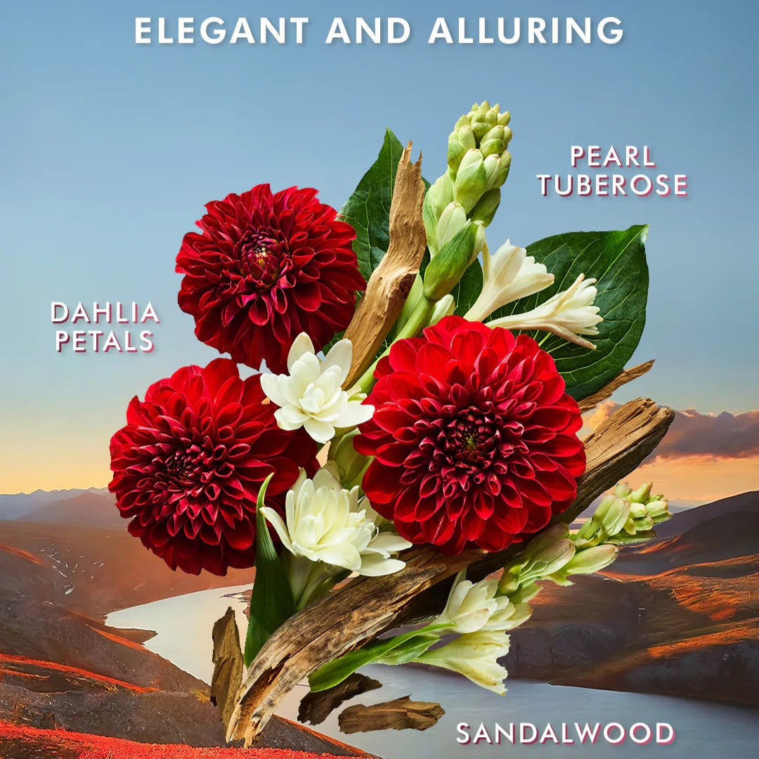 Moroccanoil Hand Cream 100ml – Luxe verzorging in 5 geuren - Blossoms Beauty