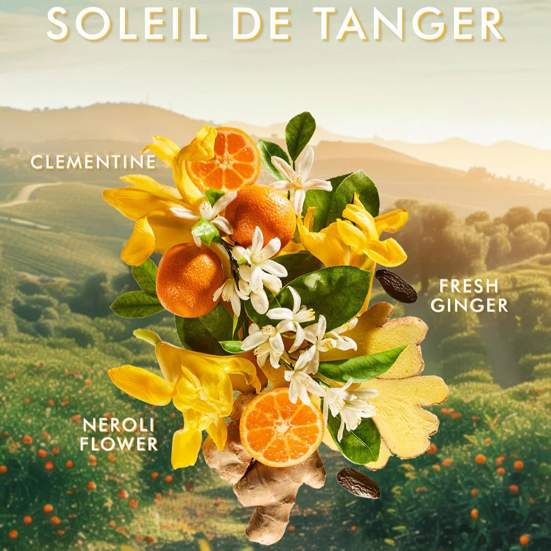 Moroccanoil Hand Wash 360ml – Luxe vloeibare handzeep in 5 geuren - Blossoms Beauty