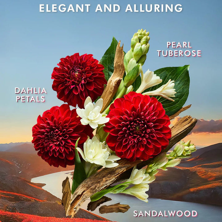 Moroccanoil Hand Wash 360ml – Luxe vloeibare handzeep in 5 geuren - Blossoms Beauty